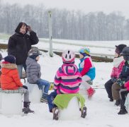 Kindergeburtstag mit Pferden